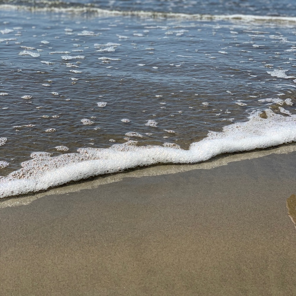 Meet your Posher, Yesenia